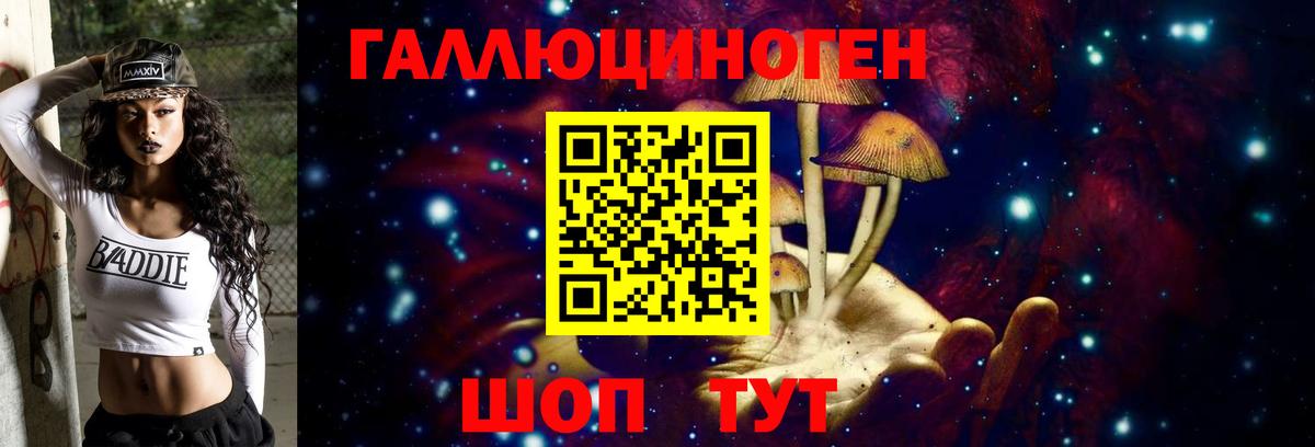 Галлюциногенные грибы Psilocybe Зеленодольск